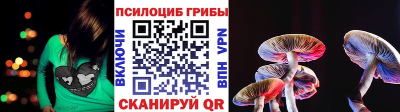 Купить закладки  Воркута  Псилоцибиновые грибы Psilocybine cubensis 
